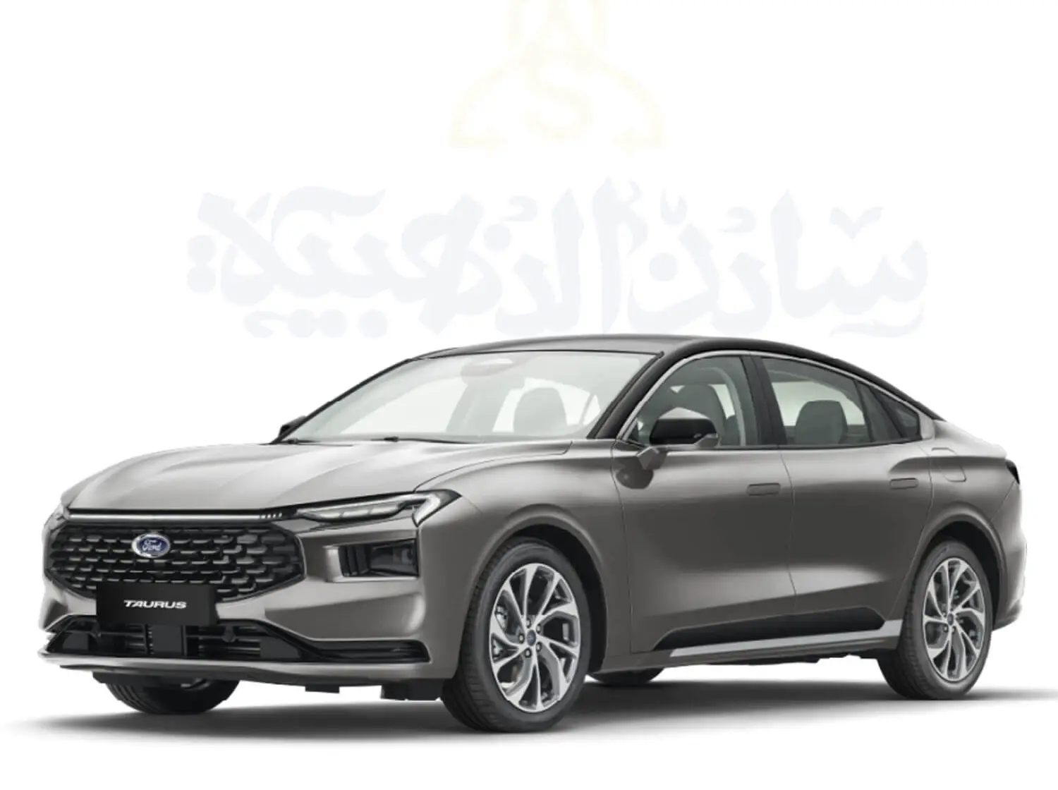 توصيل من وإلى المطار مع خدمة VIP